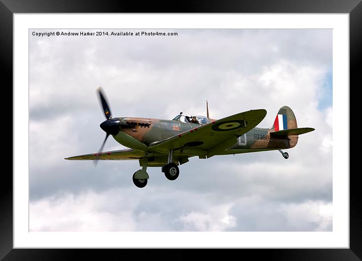 Supermarine Spitfire LF Mk IIa Framed Mounted Print by Andrew Harker