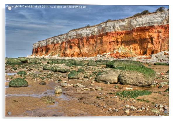 Cliffs at Hunstanton, Norfolk Acrylic by David Birchall