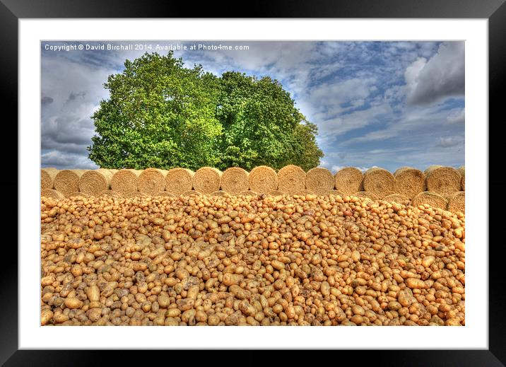 Spud Mountain Framed Mounted Print by David Birchall