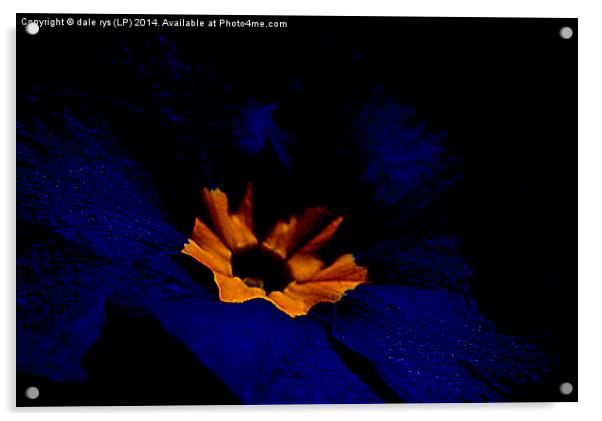 purple flora Acrylic by dale rys (LP)