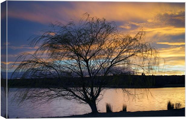 Rother Valley Sunset Canvas Print by Darren Galpin