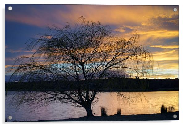 Rother Valley Sunset Acrylic by Darren Galpin
