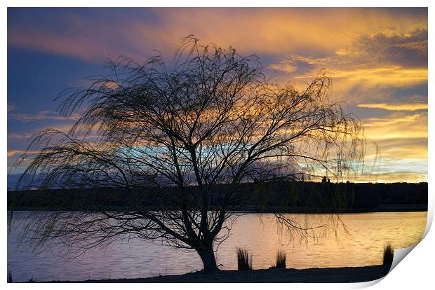 Rother Valley Sunset Print by Darren Galpin
