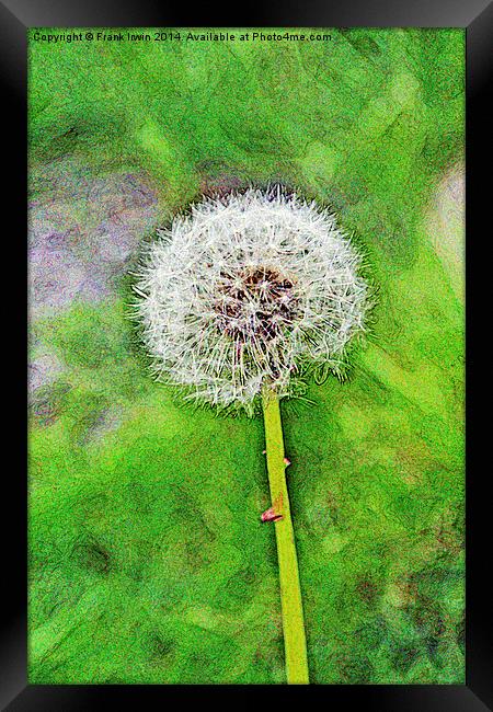 The Dandelion ‘clock’. Artistically displayed Framed Print by Frank Irwin