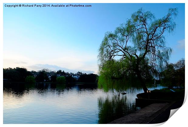 Roath Park Morning Print by Richard Parry