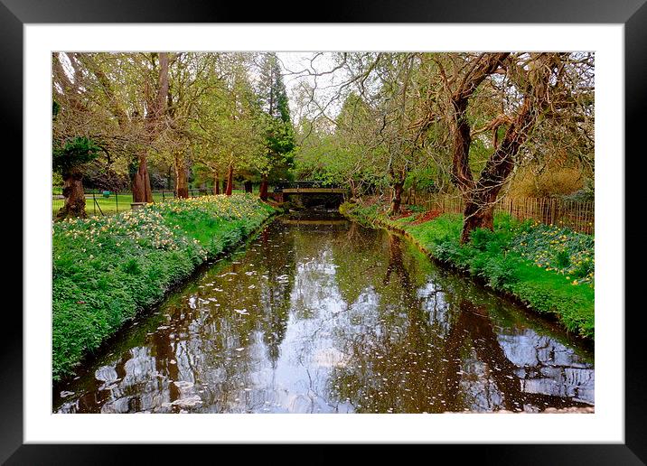 Roath Park Stream Framed Mounted Print by Richard Parry
