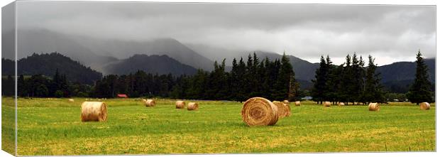 Panorama Hay Bails in a Field Canvas Print by Jon Moss