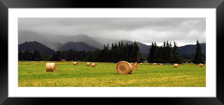Panorama Hay Bails in a Field Framed Mounted Print by Jon Moss
