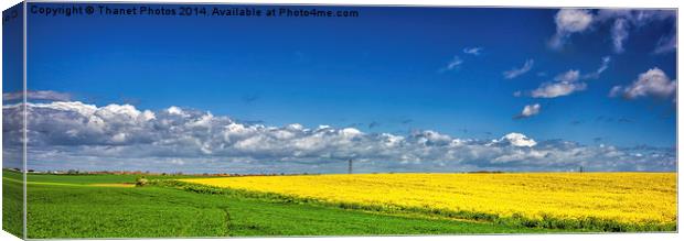 Blue, Yellow and Green Canvas Print by Thanet Photos