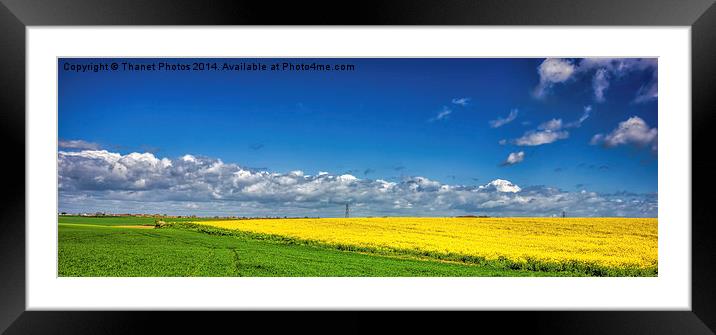 Blue, Yellow and Green Framed Mounted Print by Thanet Photos