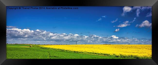 Blue, Yellow and Green Framed Print by Thanet Photos