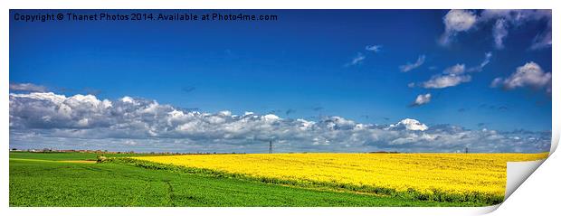 Blue, Yellow and Green Print by Thanet Photos