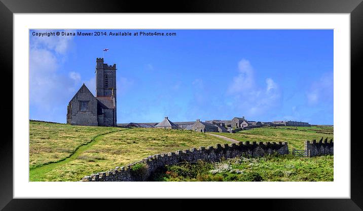 Lundy Island Framed Mounted Print by Diana Mower