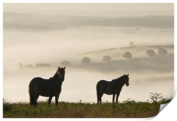 Exmoor Ponies on Winsford Hill Print by Nick Pound