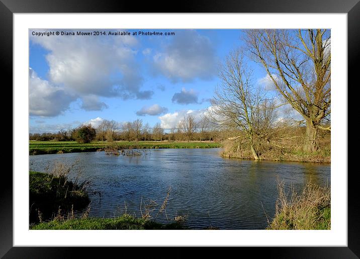 The River Stour at Flatford Framed Mounted Print by Diana Mower