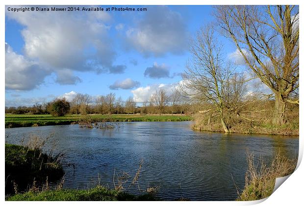The River Stour at Flatford Print by Diana Mower