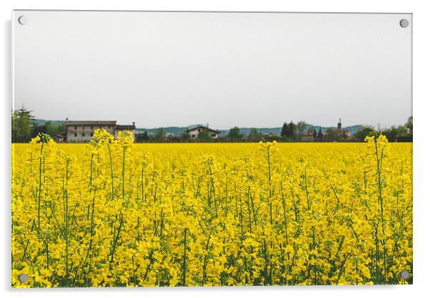 Yellow countryside Acrylic by Chiara Cattaruzzi