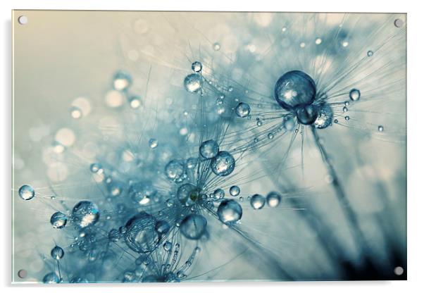 Creamy Blue Dandy Drops Acrylic by Sharon Johnstone