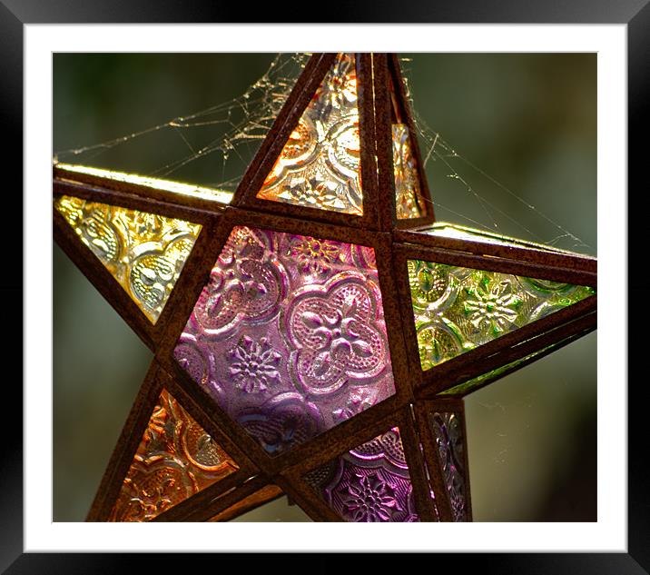 Cobweb star Framed Mounted Print by Alan Pickersgill