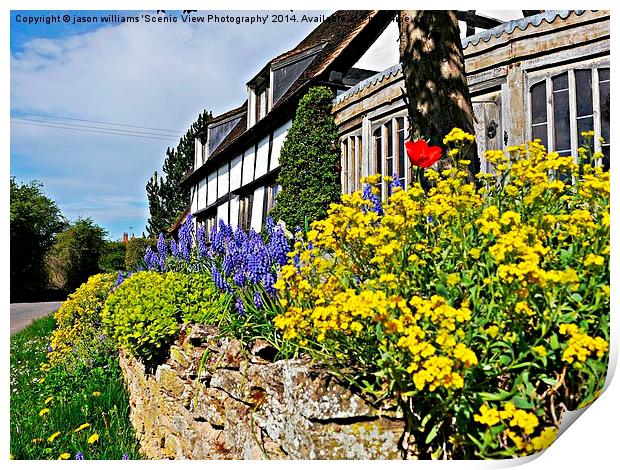 Cottage garden in bloom. Print by Jason Williams