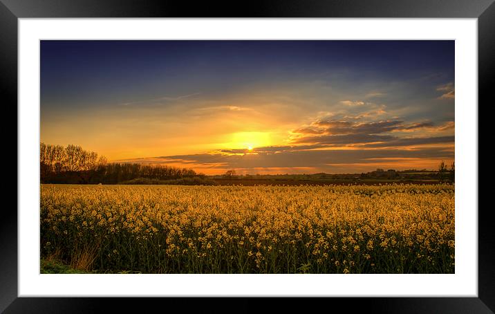 Sunset over the Yellow Fields Framed Mounted Print by matthew  mallett
