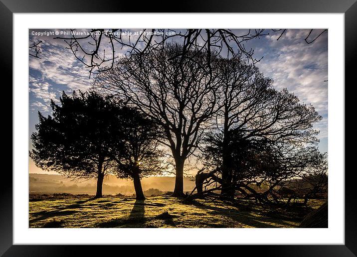 Mogshade Sunrise Framed Mounted Print by Phil Wareham