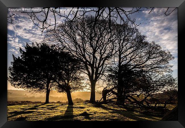 Mogshade Sunrise Framed Print by Phil Wareham