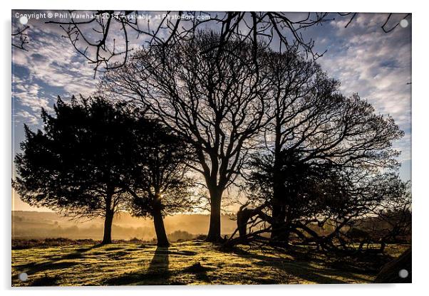 Mogshade Sunrise Acrylic by Phil Wareham