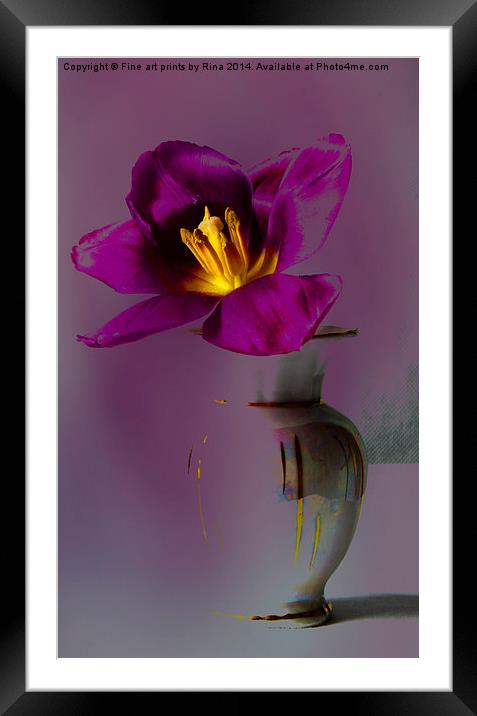 Dare to be different - 1 Framed Mounted Print by Fine art by Rina