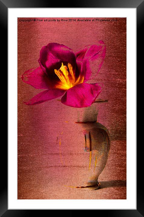 Dare to be different - 2 Framed Mounted Print by Fine art by Rina