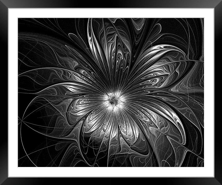 Silver Framed Mounted Print by Amanda Moore