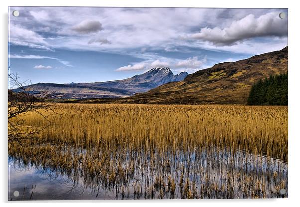 Loch Cill Chriosd Acrylic by Jacqi Elmslie