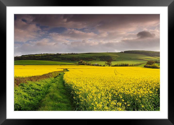Sea of Yellow 1 Framed Mounted Print by Iksung Nah