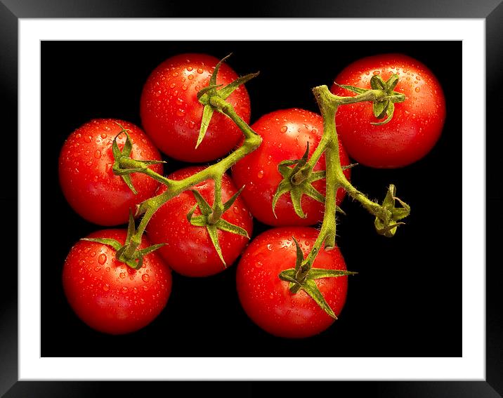 Tomatoes  Framed Mounted Print by richard pereira