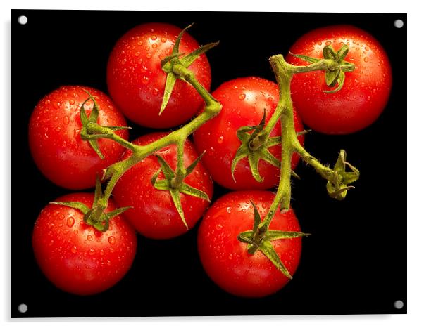 Tomatoes  Acrylic by richard pereira