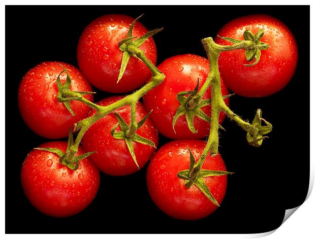 Tomatoes  Print by richard pereira