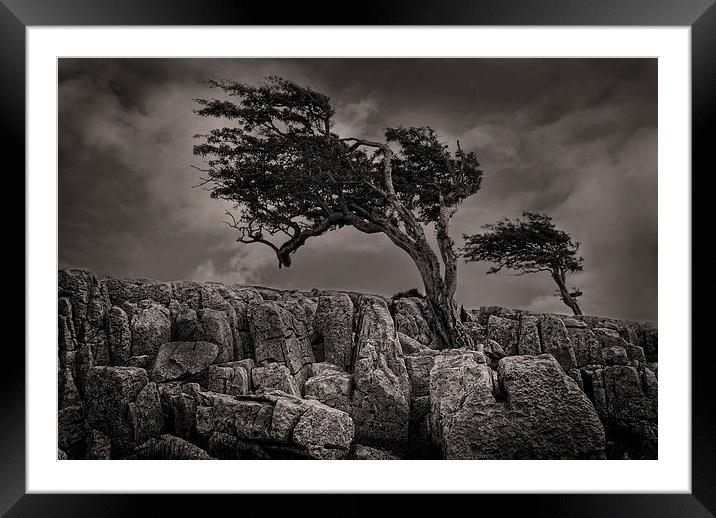 The wildness of Yorkshire Framed Mounted Print by Eddie John