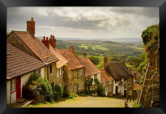 Gold Hill Shaftesbury Framed Print by Harry Hadders