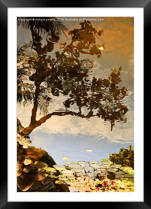 On reflection Framed Mounted Print by richard pereira