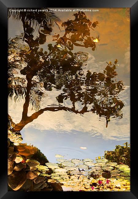 On reflection Framed Print by richard pereira