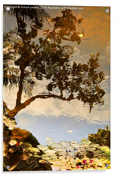 On reflection Acrylic by richard pereira