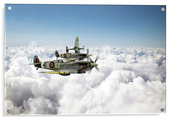 Polish Fighter Squadron Acrylic by J Biggadike
