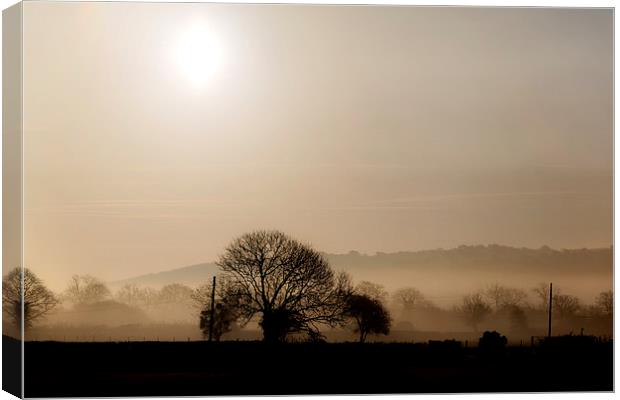 Misty early morning Canvas Print by Simon West