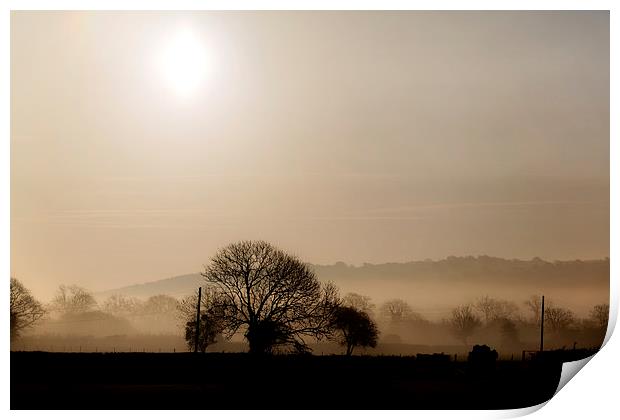 Misty early morning Print by Simon West
