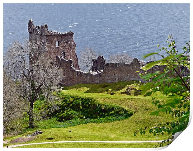 Urquhart Castle Print by Pat Carroll