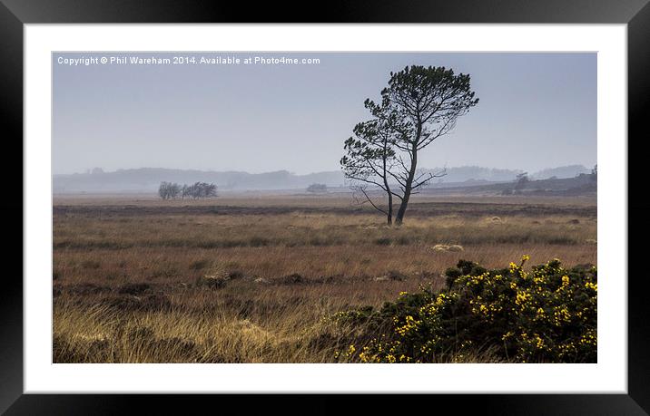 Mist on the moor Framed Mounted Print by Phil Wareham