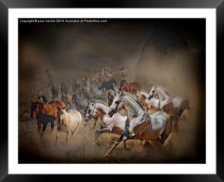 running with horses Framed Mounted Print by paul neville
