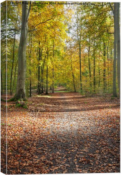 Autumn forest Canvas Print by Julie Woodhouse