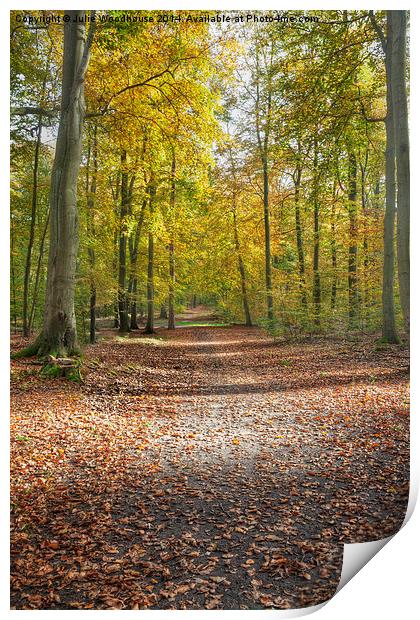 Autumn forest Print by Julie Woodhouse