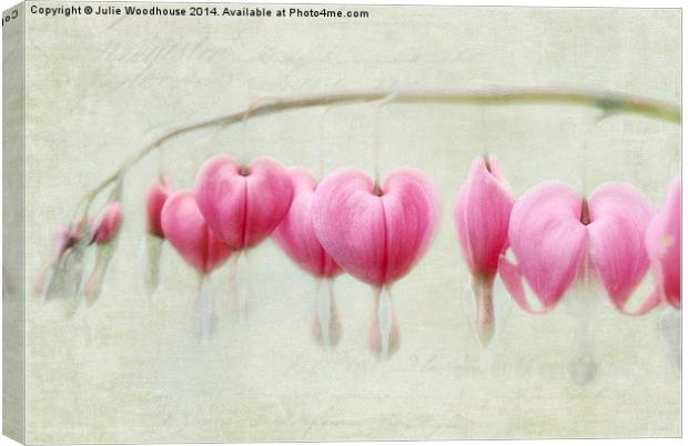 Bleeding Hearts Canvas Print by Julie Woodhouse